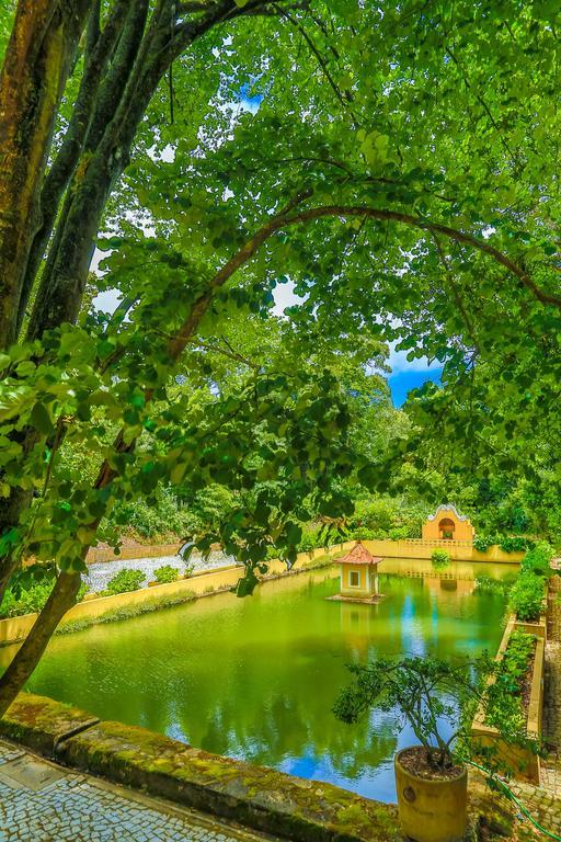 Отель Quinta Do Convento Вила-Верде-душ-Франкуш Экстерьер фото